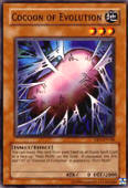 Cocoon of Evolution